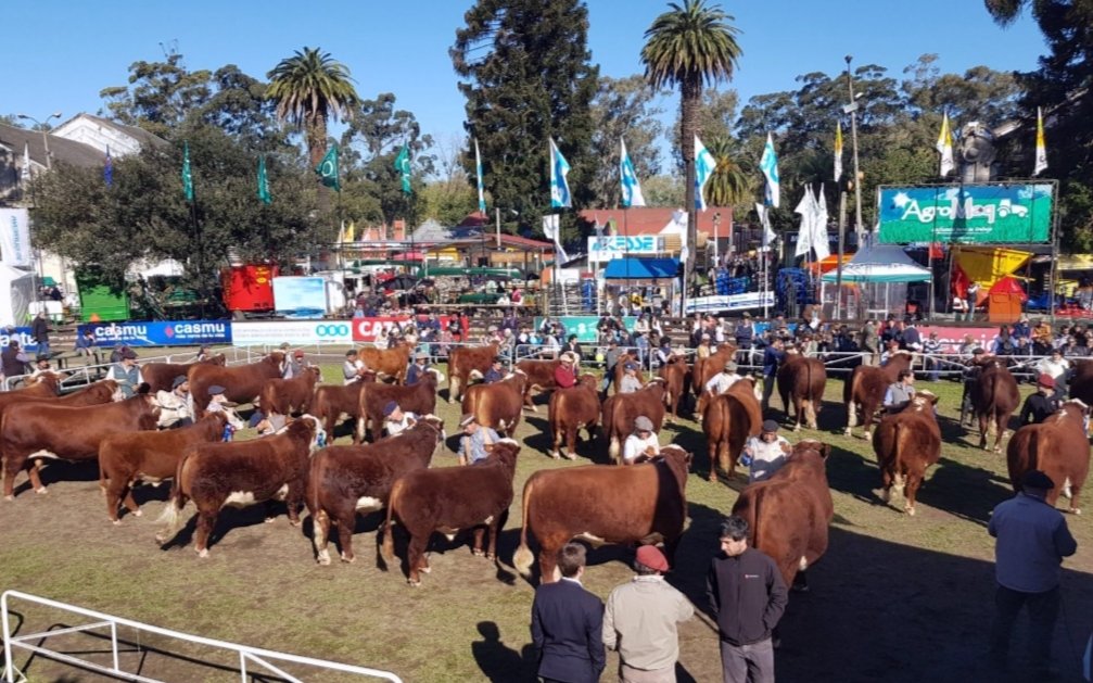 Comenzó la Expo Prado Edición 2024